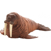 387209_walrus