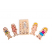 Schichtenpuzzle Anatomie Mädchen